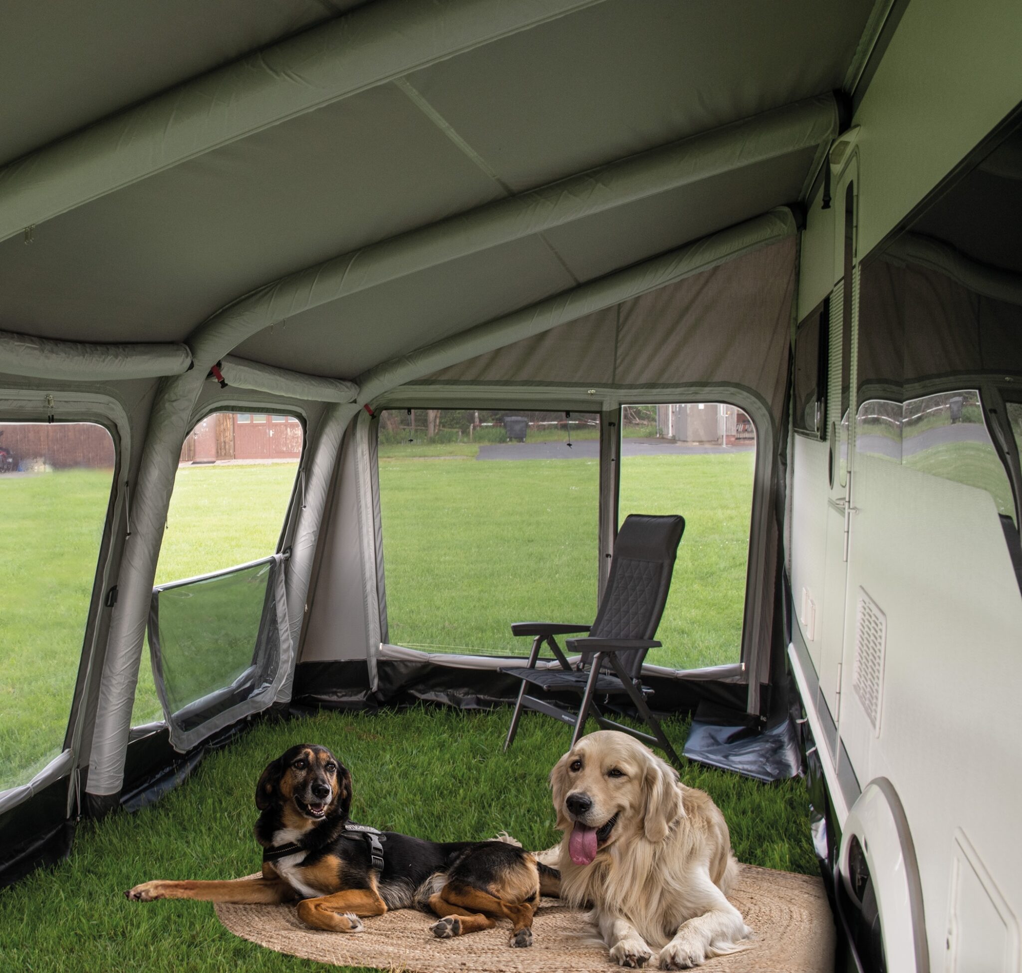 Zwei Hunde entspannen im Vorzelt eines Wohnwagens.